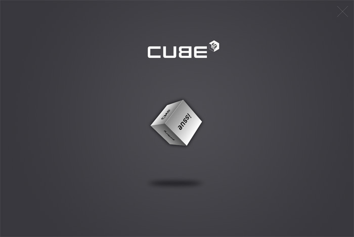CUBE 삼성전자 업체소개